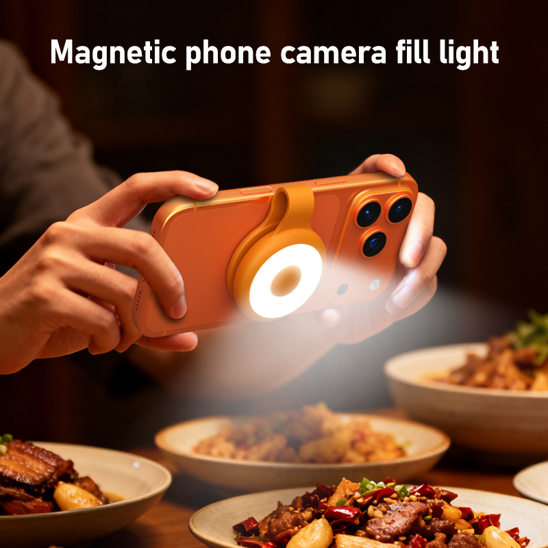 Магнитный заполняющий светильн – обзор и цена Photography Lighting Brand